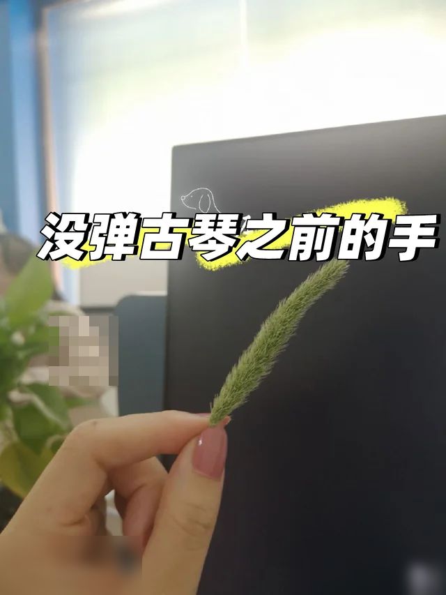 自从弹了古琴变得孔武有力，怎么不算养生
