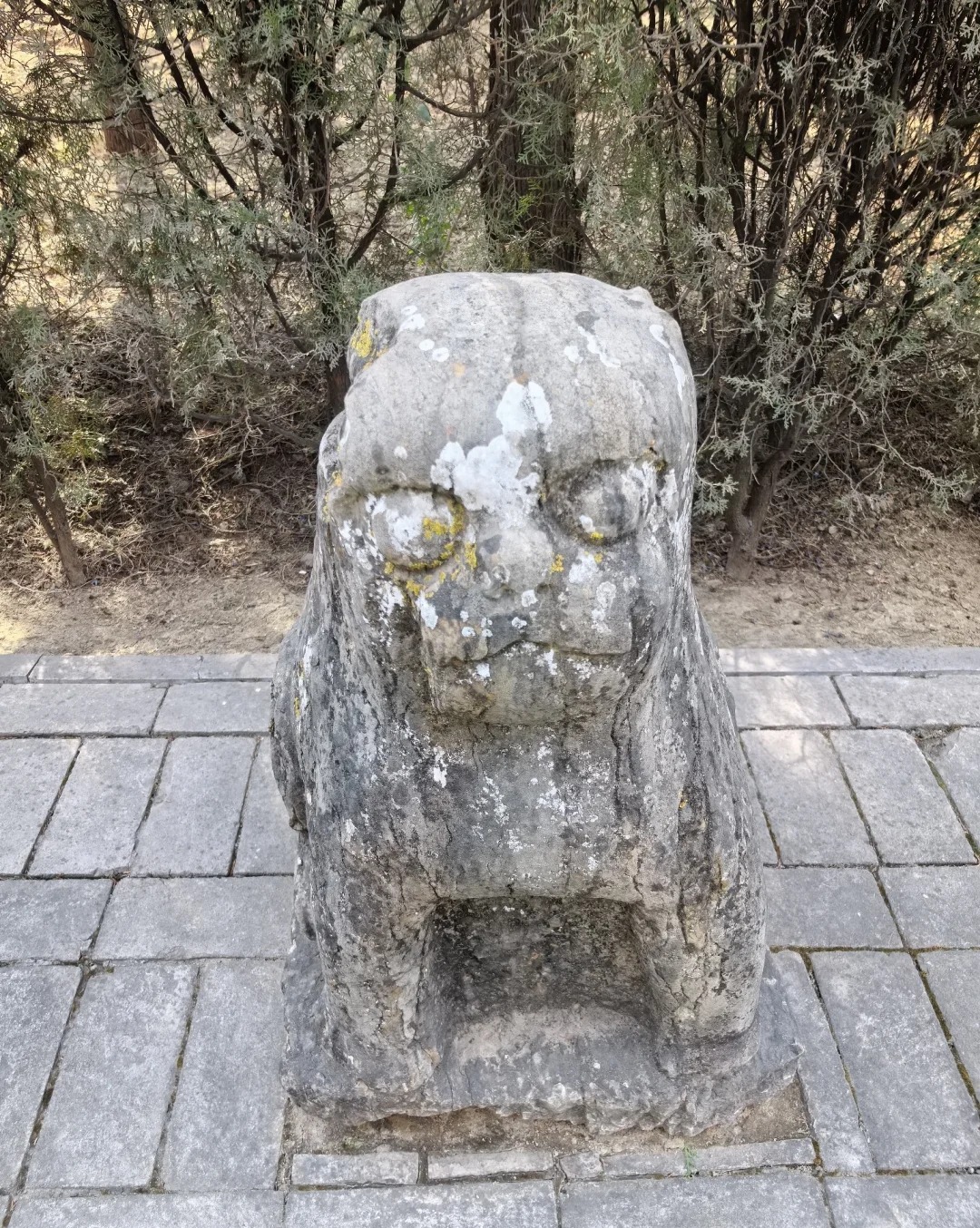 司马光祠 样张 10
