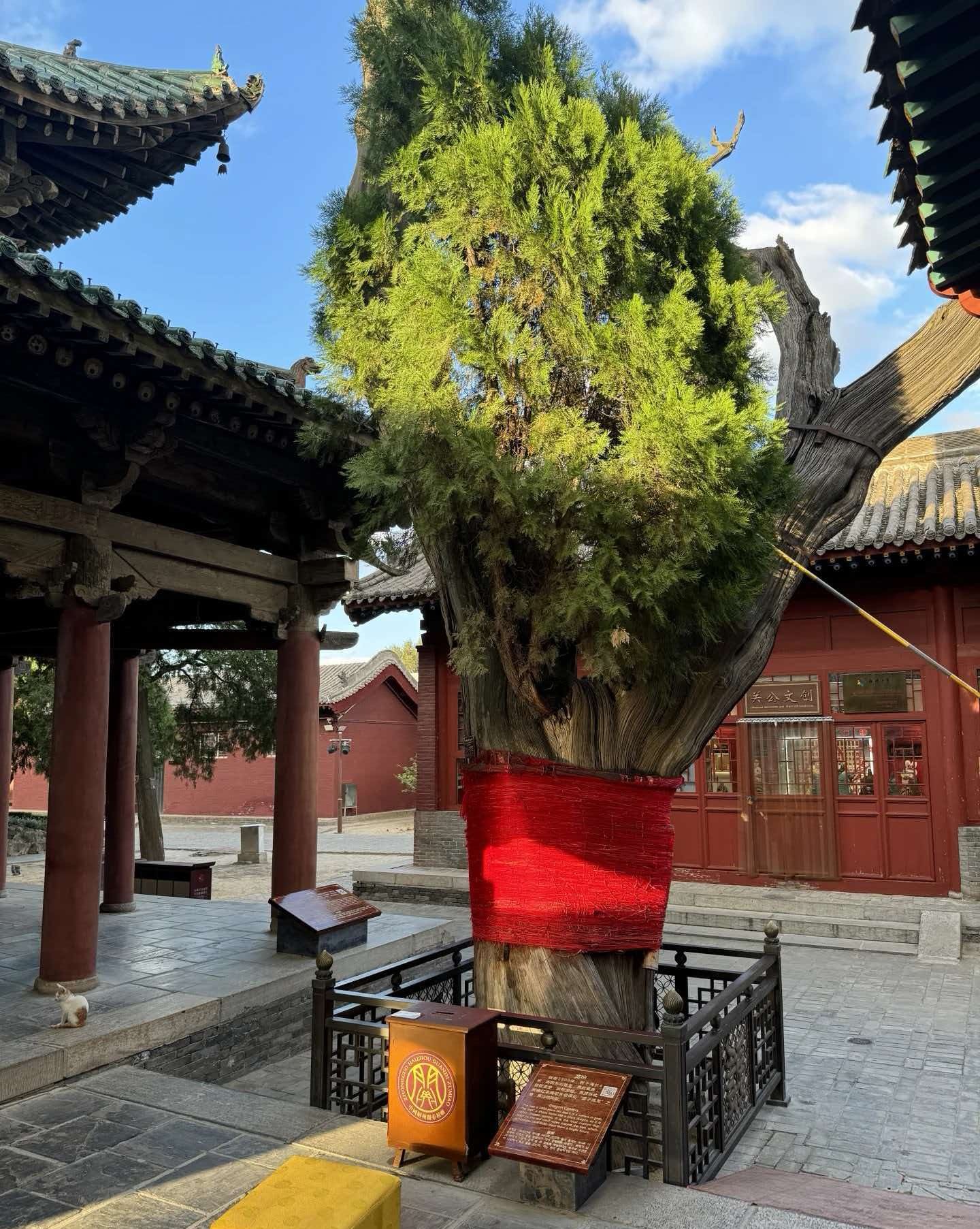 常平关帝家庙 样张 2