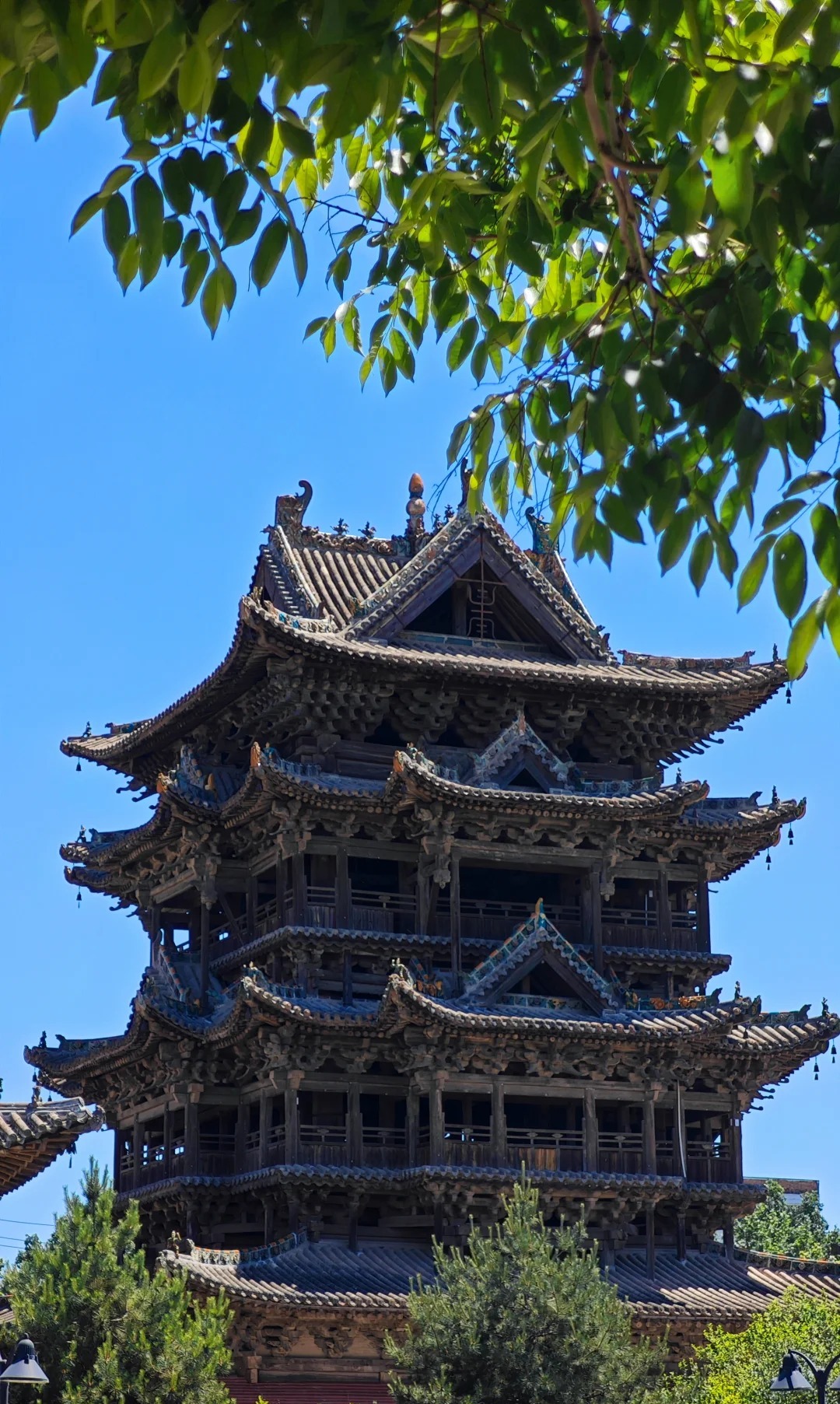飞云楼 样张 4