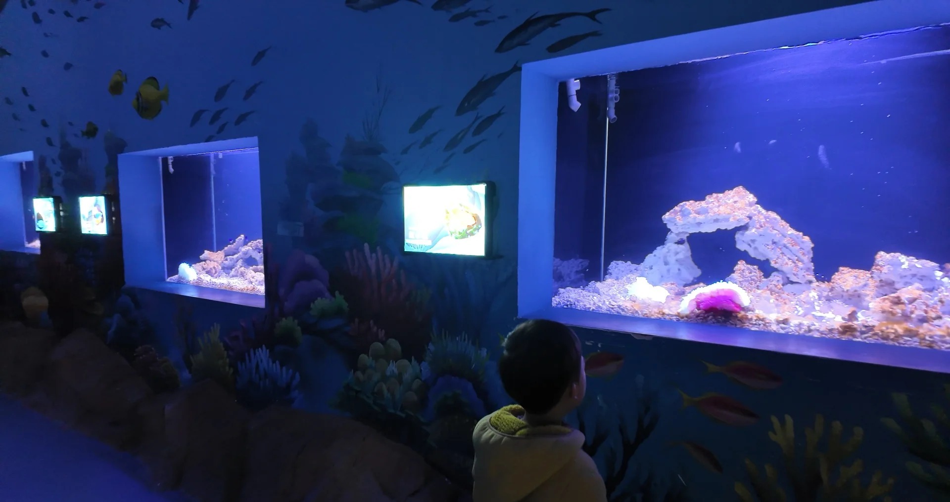 运城海洋馆·海底隧道 样张 12