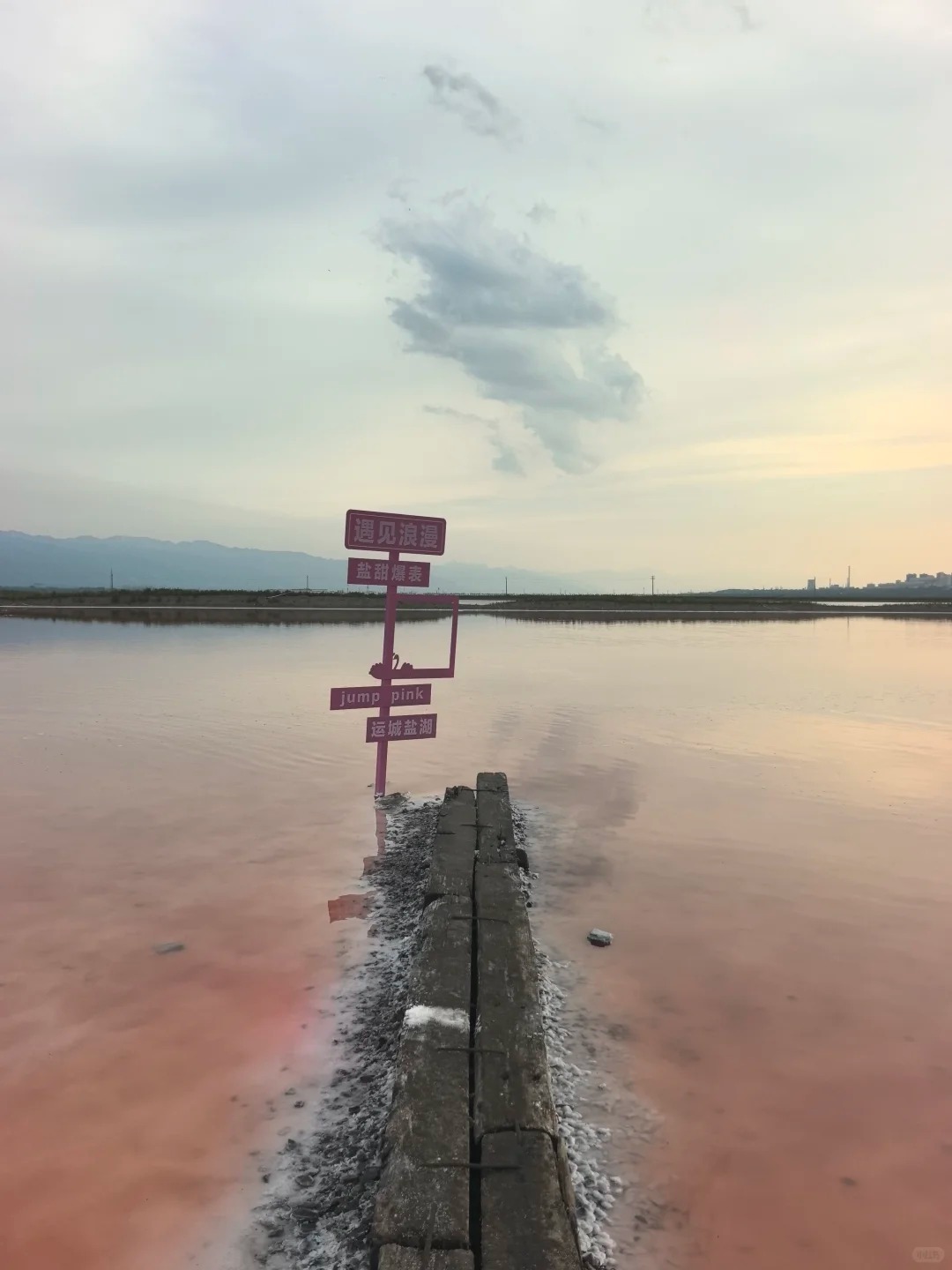 粉丝盐湖（十一号路大铁门） 样张 11