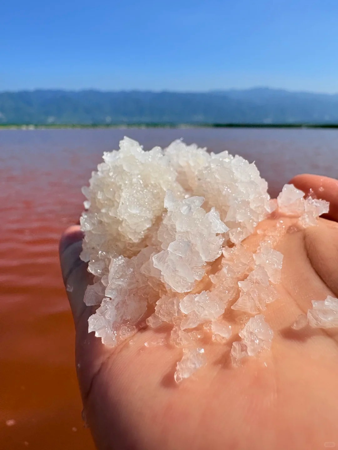 粉丝盐湖（十一号路大铁门） 样张 8