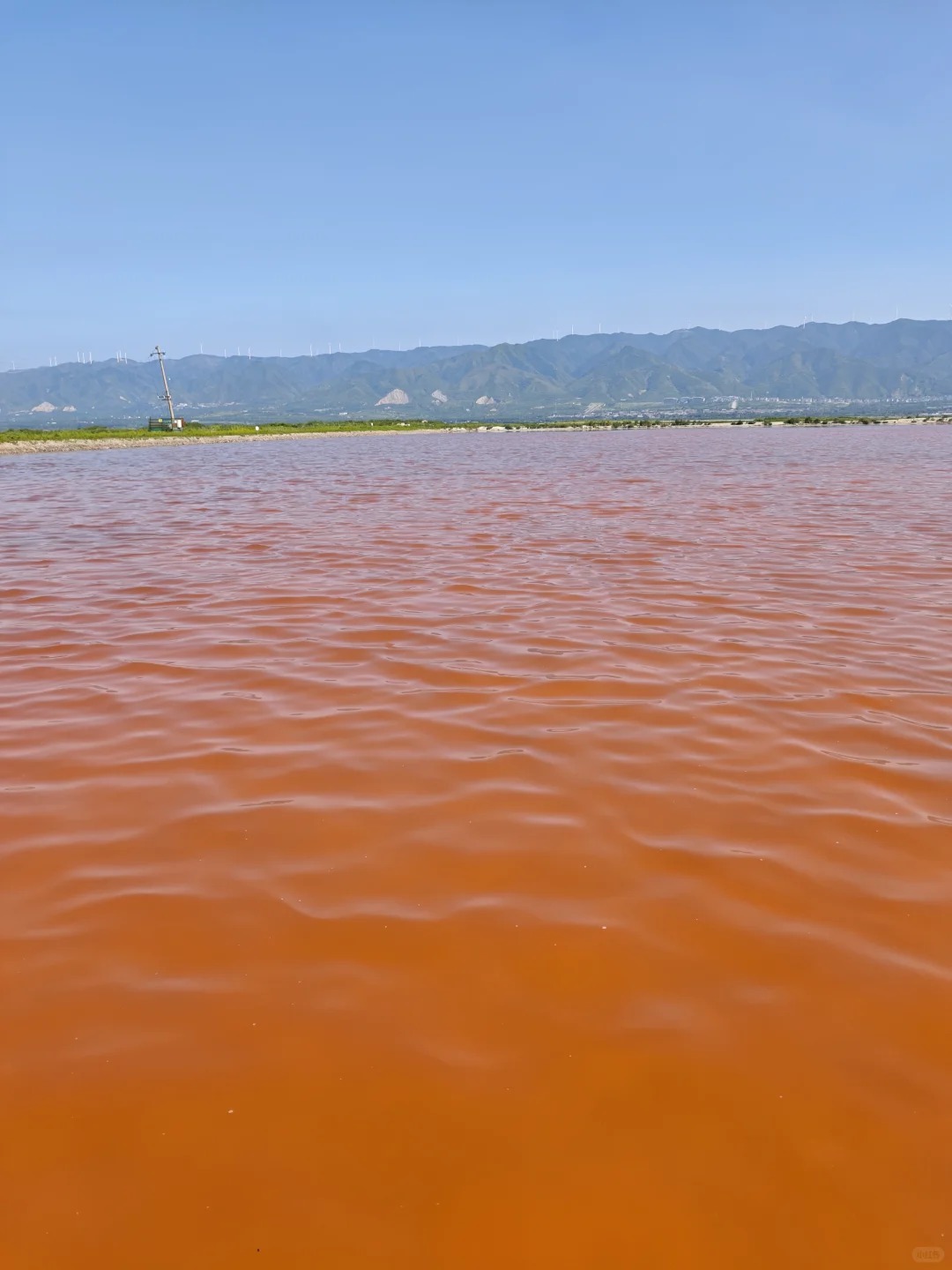 粉丝盐湖（十一号路大铁门） 样张 9
