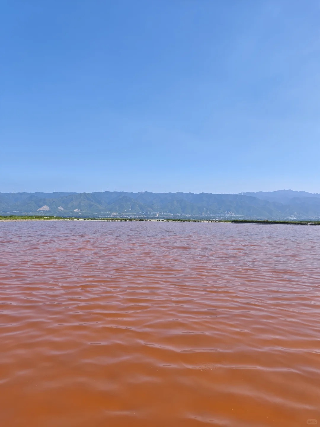 粉丝盐湖（十一号路大铁门） 样张 10