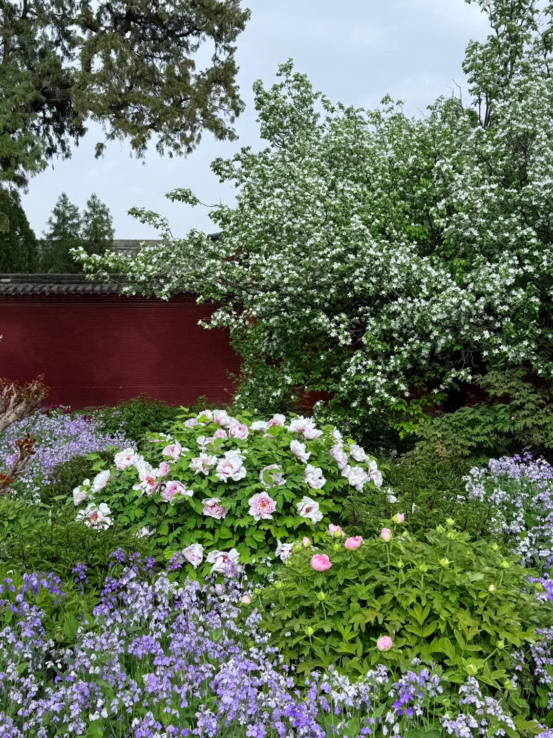 永济的莫奈花园 样张 4