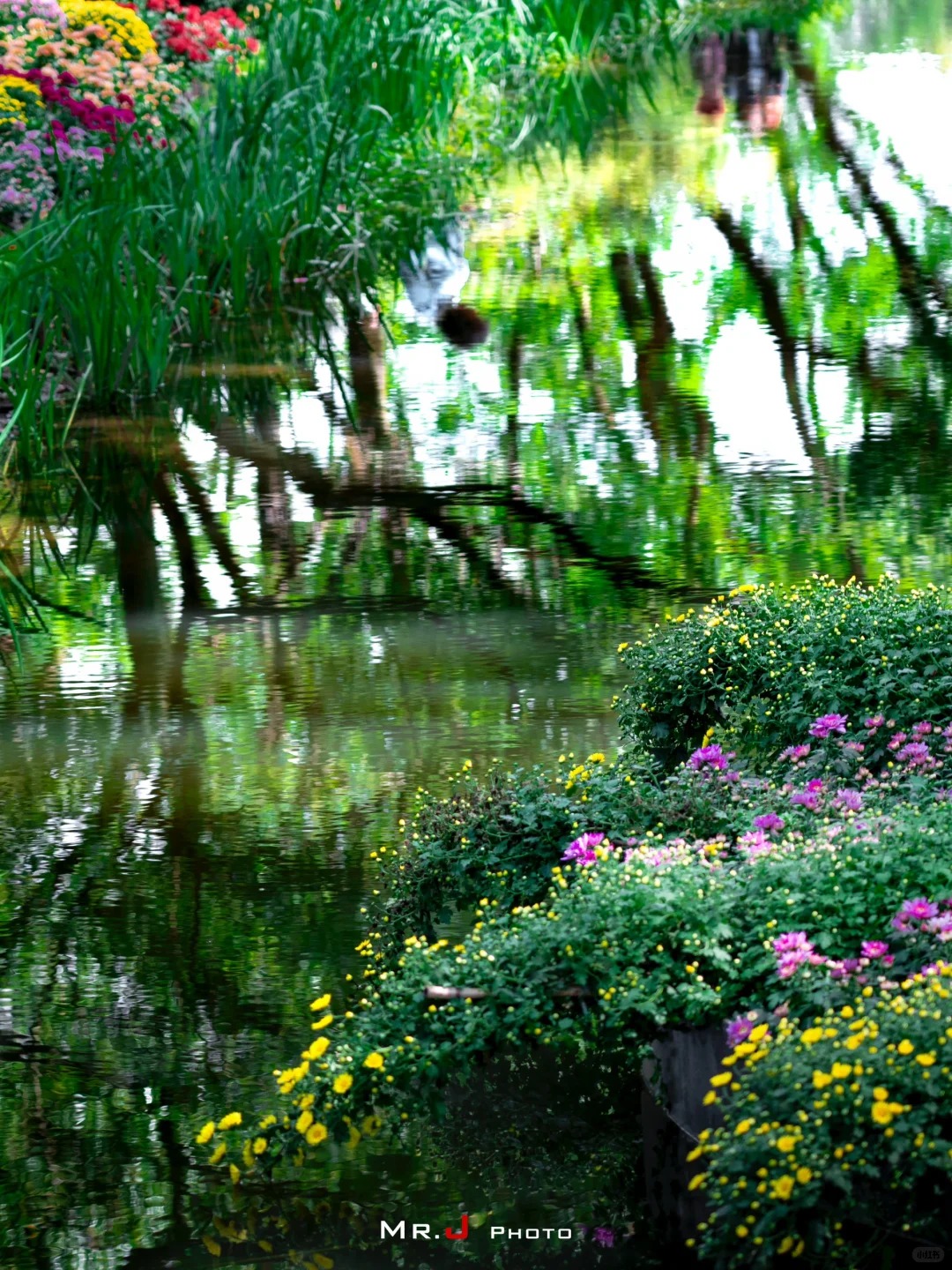 永济的莫奈花园 样张 10