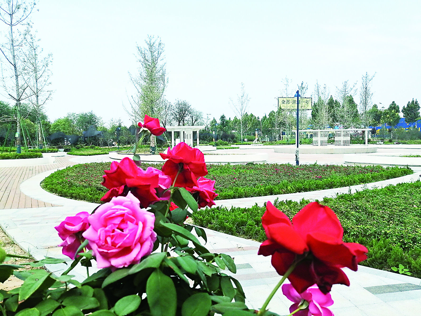 禹都公园月季花墙·莫奈花园