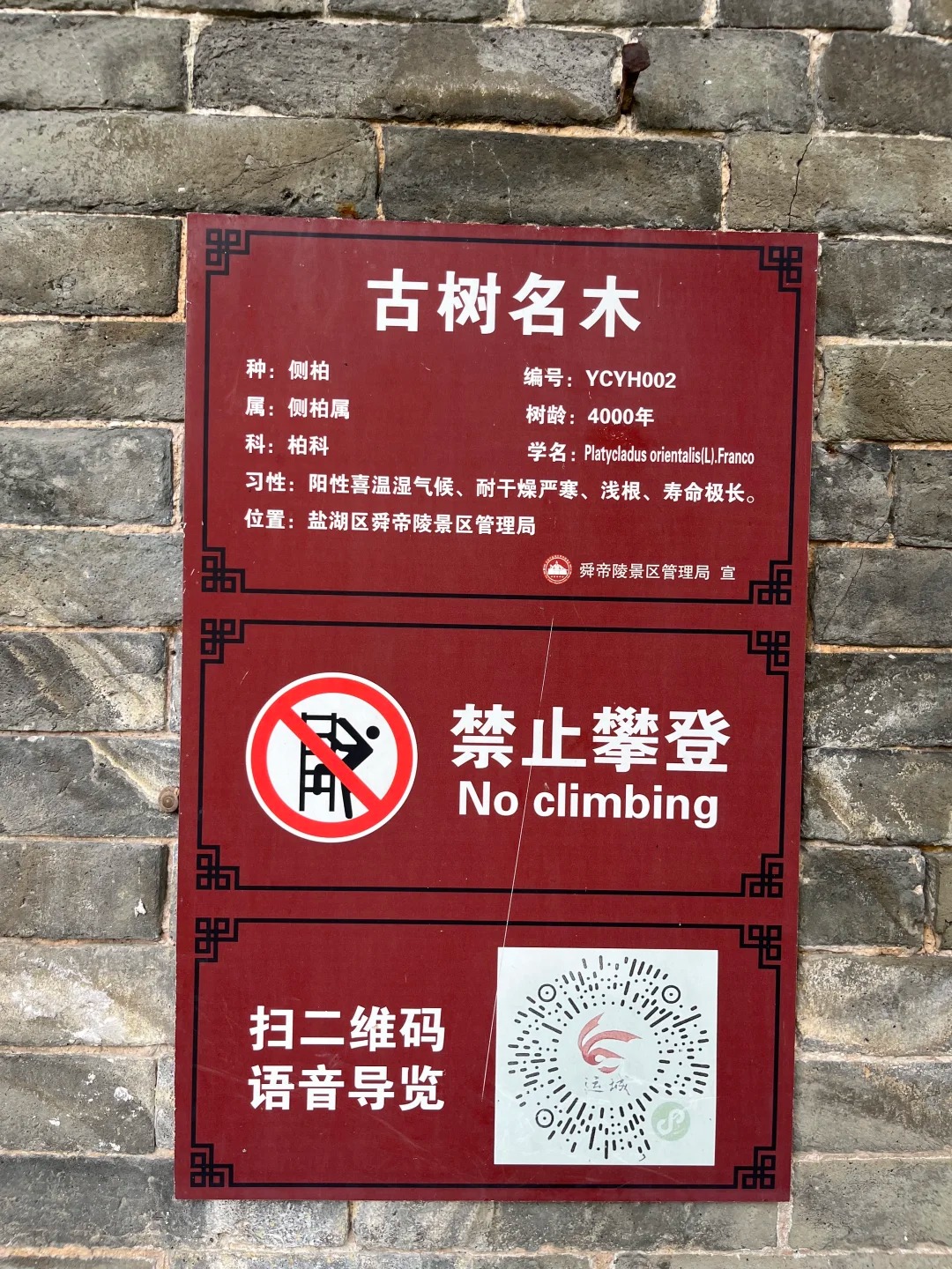 舜帝陵·夫妻柏 样张 12