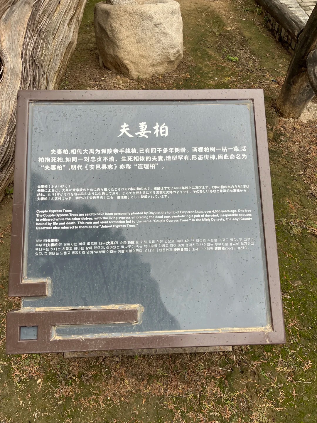 舜帝陵·夫妻柏 样张 13