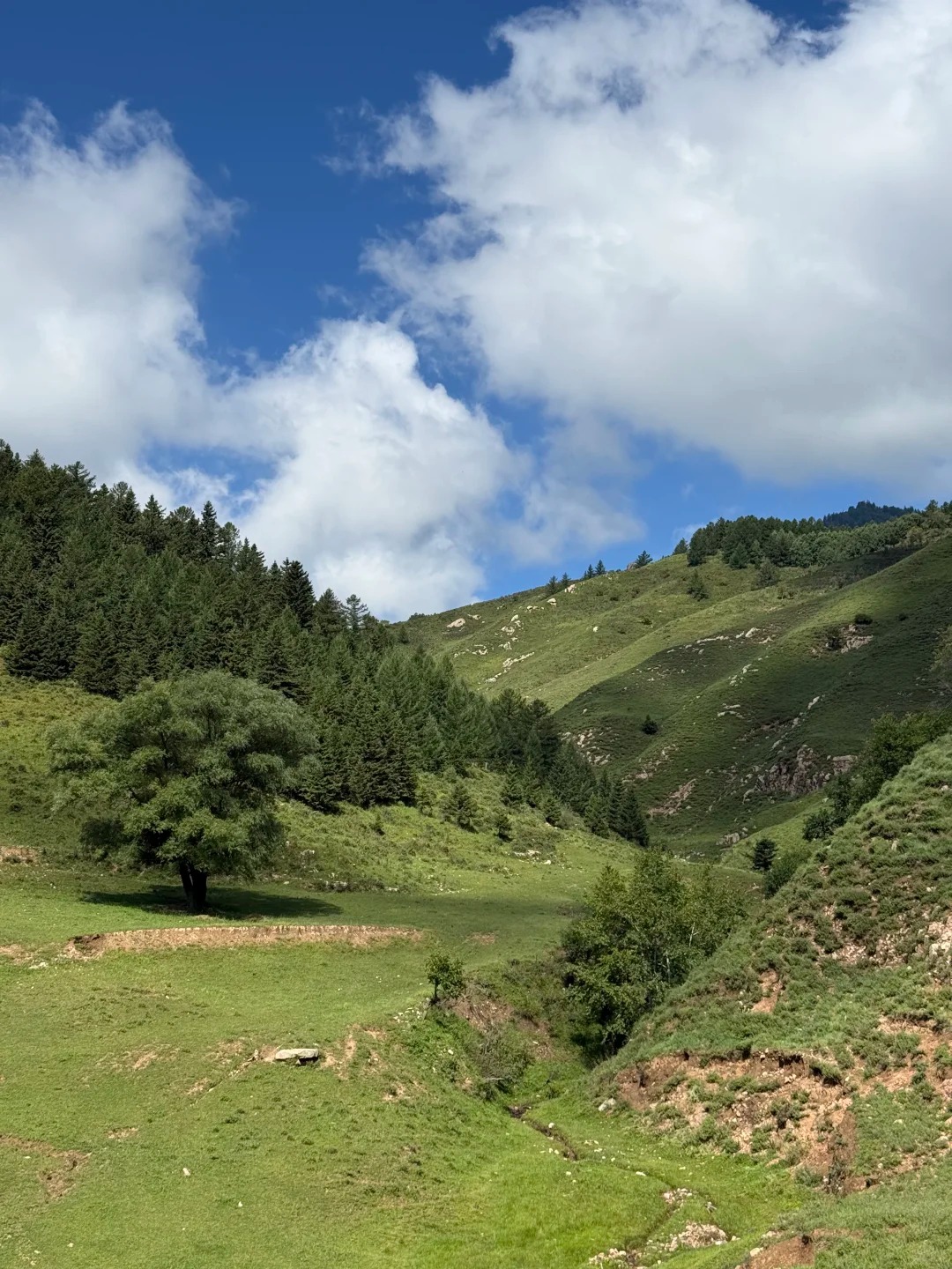垣曲历山·高山草甸星空 样张 7