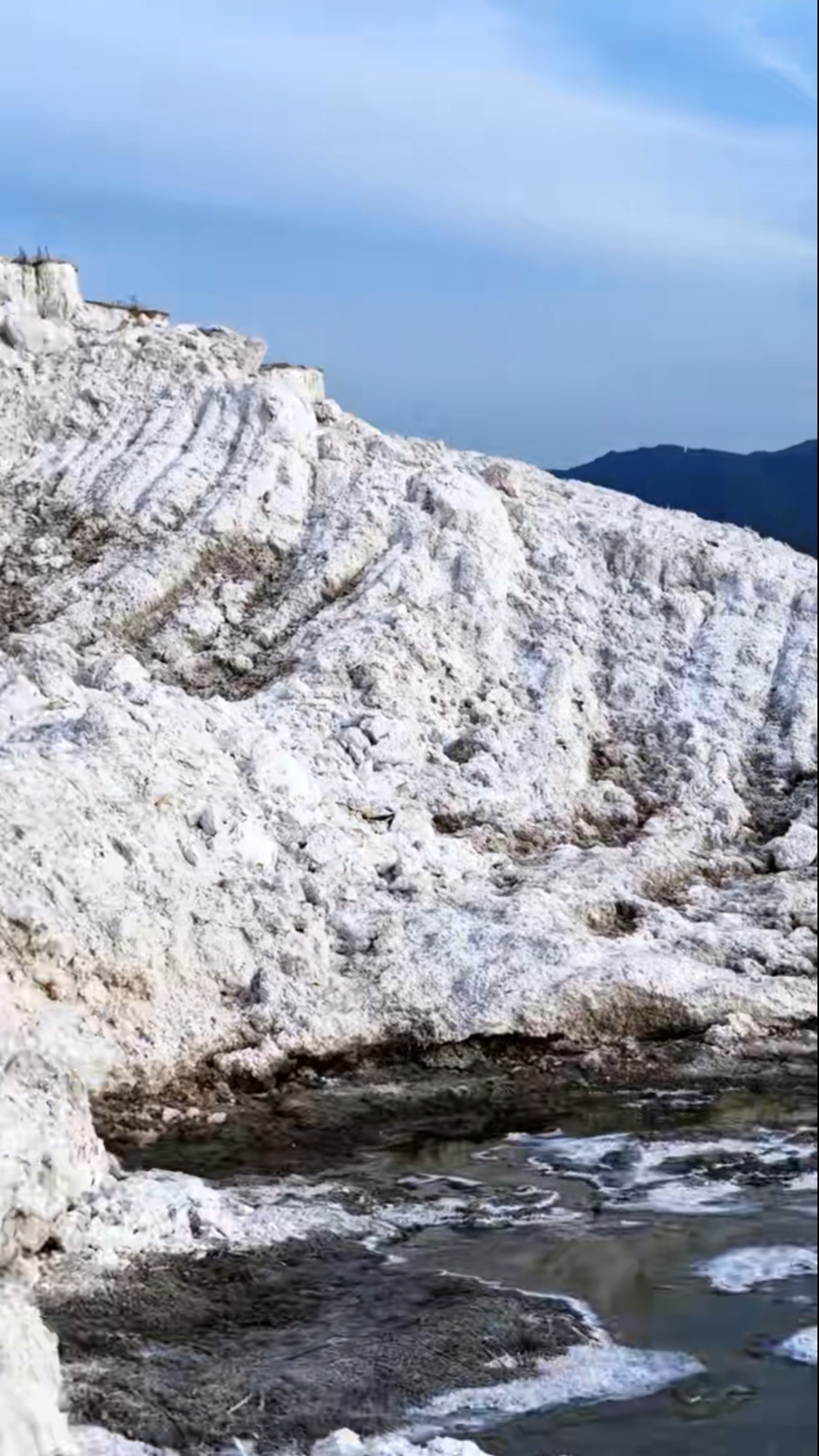 盐山 样张 4